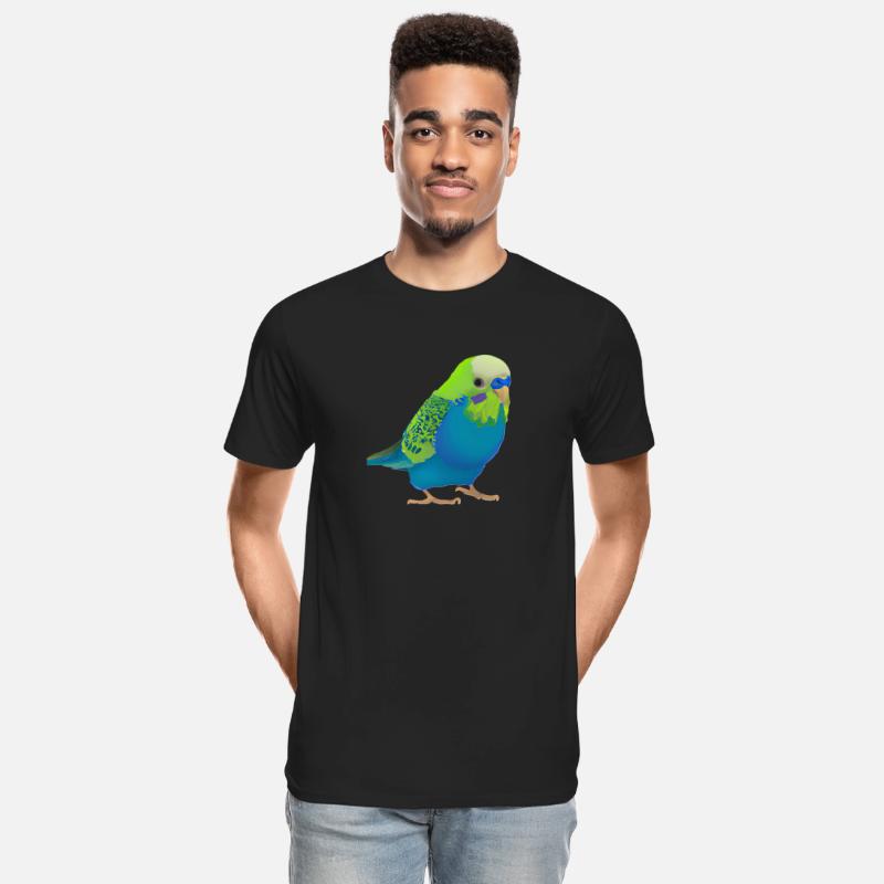 cute male parakeet dark colors