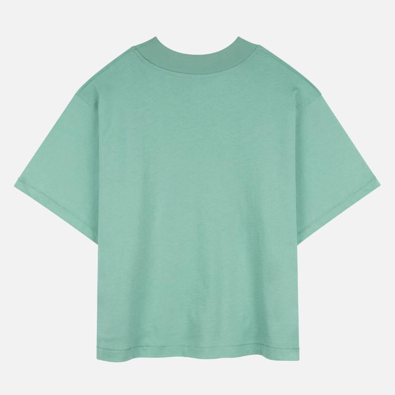 Royal Indian Elephant