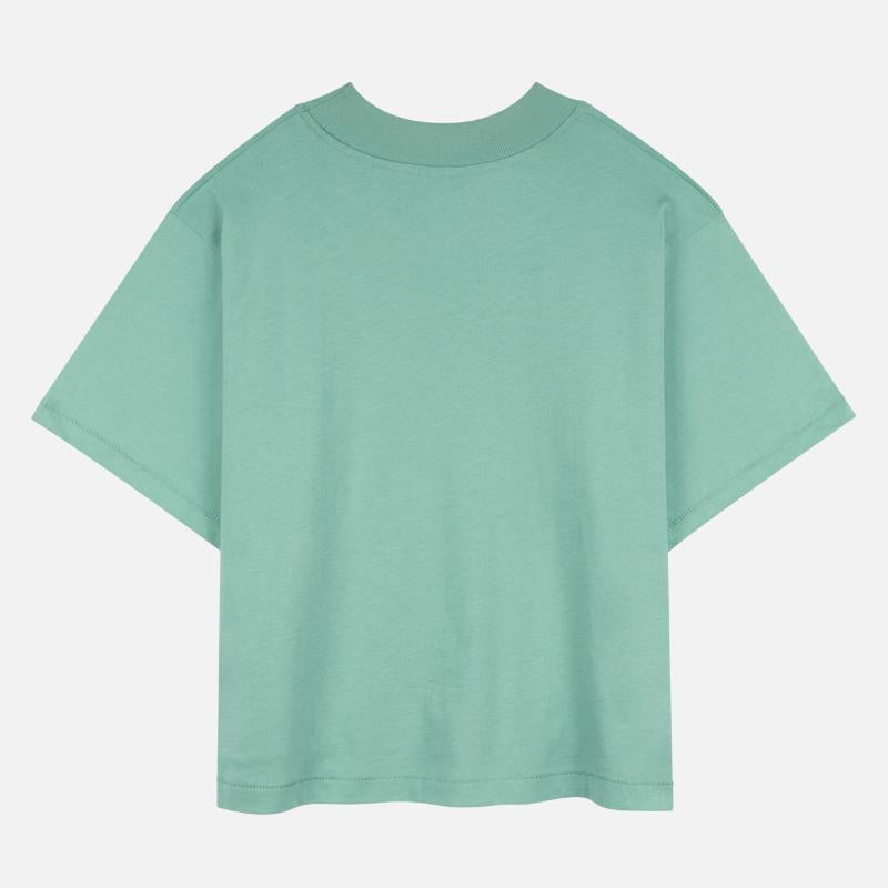 No See No Say No Hear Monkey for a Monkey Lover