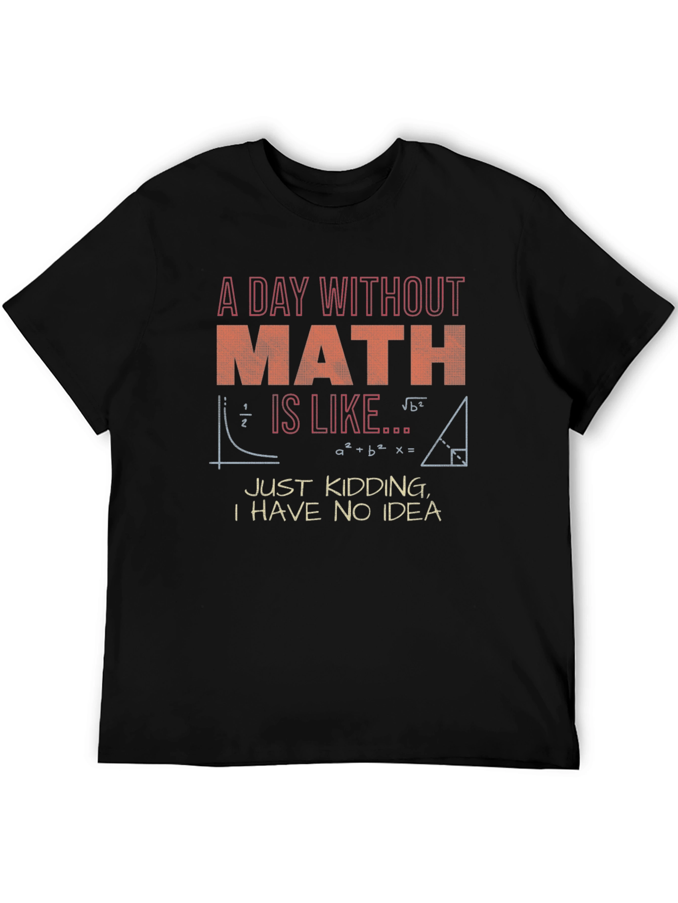 Math Pun Graphic Tee - A Day Without Math T-Shirt