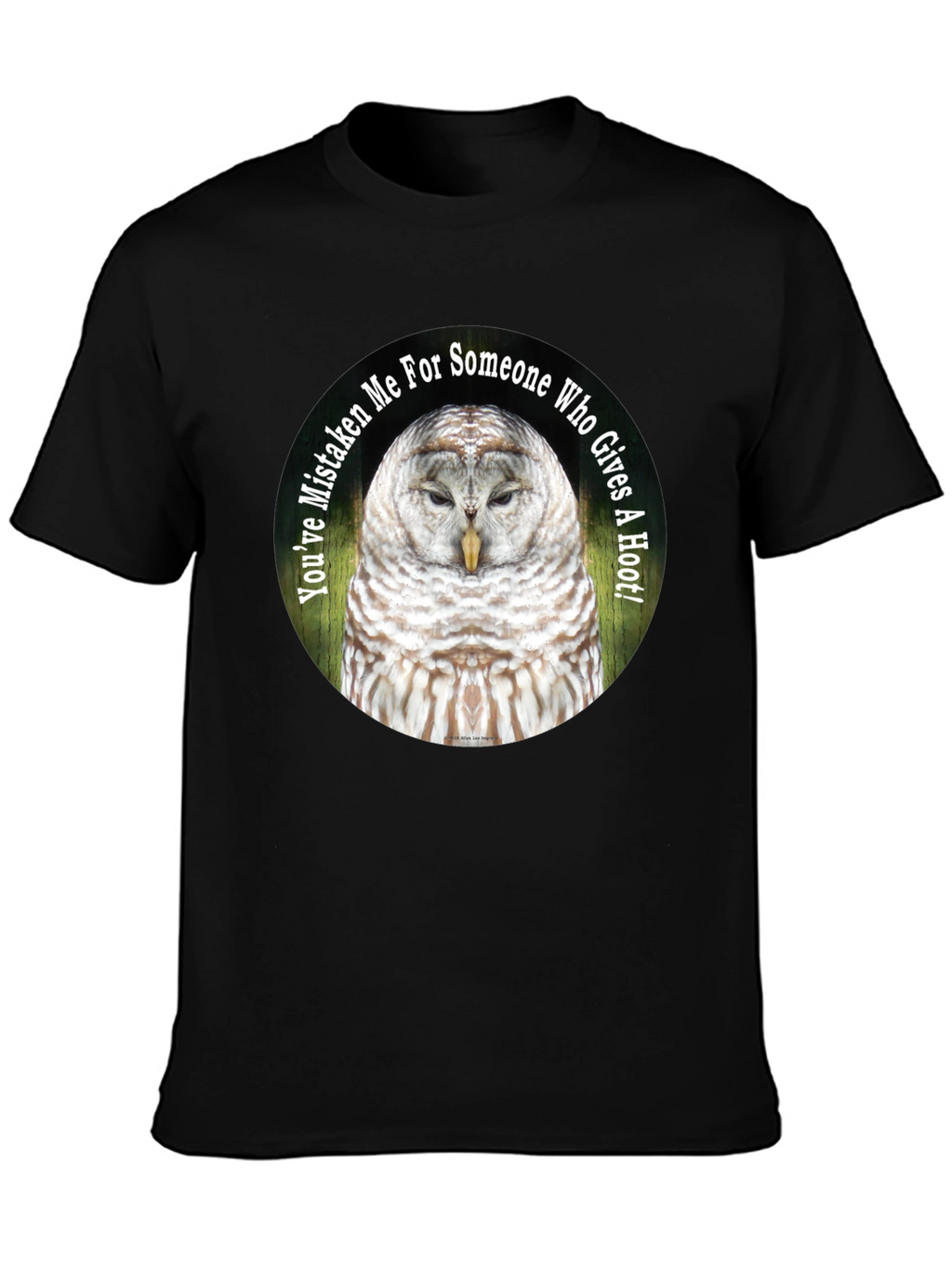 Owl Graphic Tee - Youve Mistaken Me