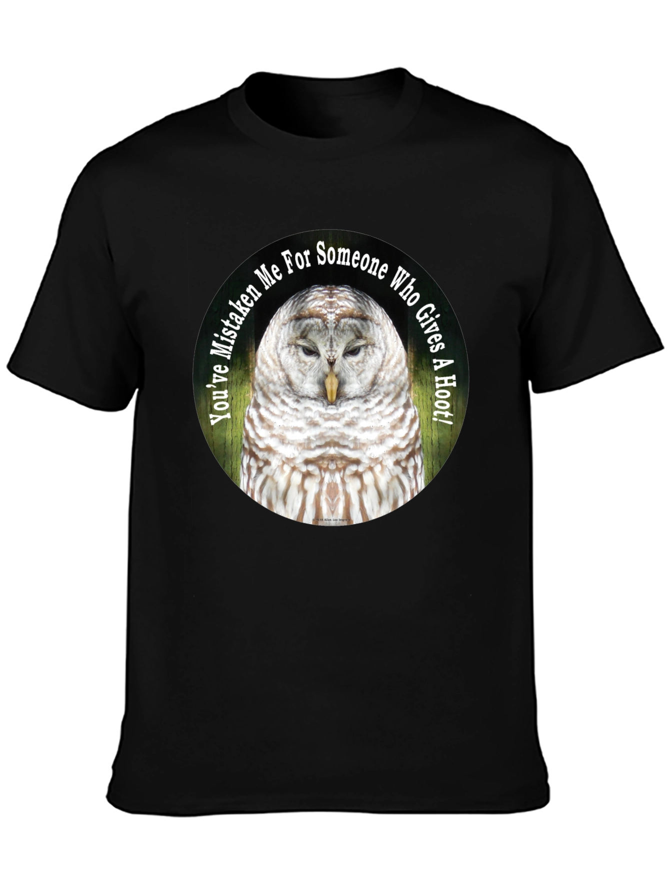 Owl Graphic Tee - Youve Mistaken Me