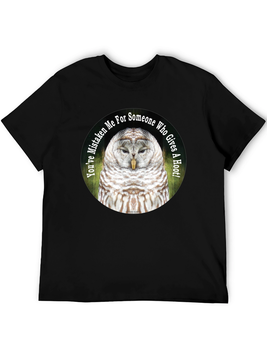 Owl Graphic Tee - Youve Mistaken Me