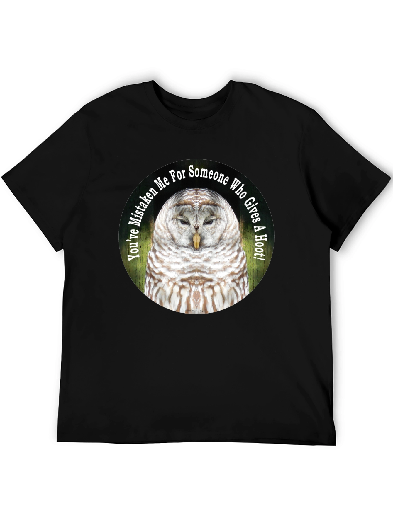 Owl Graphic Tee - Youve Mistaken Me