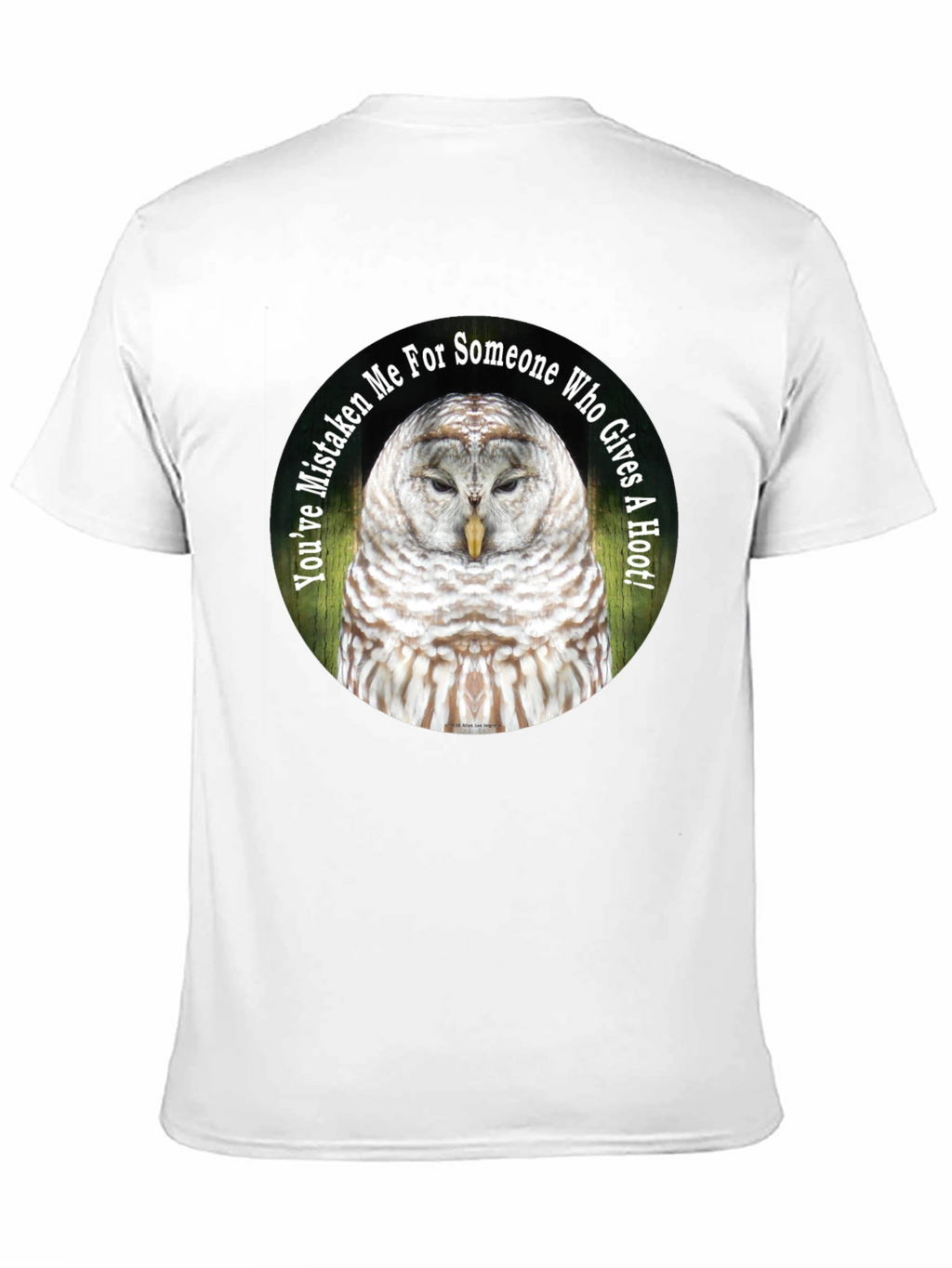 Owl Graphic Tee - Youve Mistaken Me