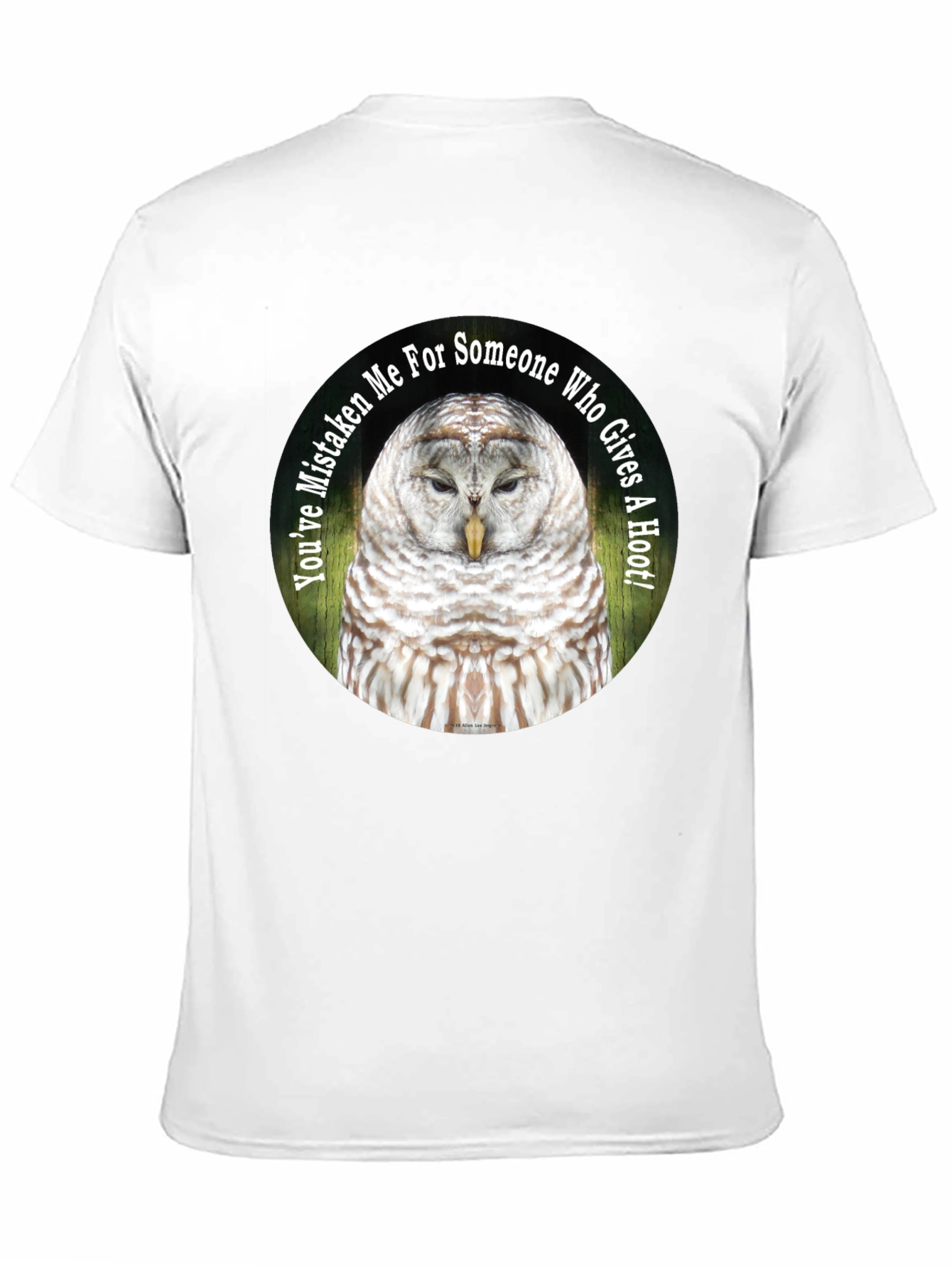 Owl Graphic Tee - Youve Mistaken Me