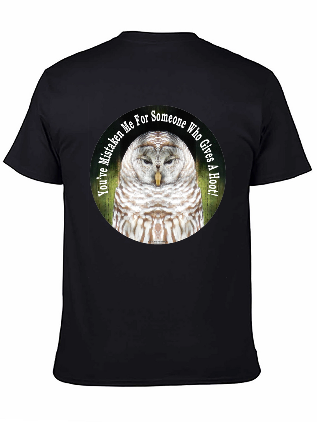 Owl Graphic Tee - Youve Mistaken Me