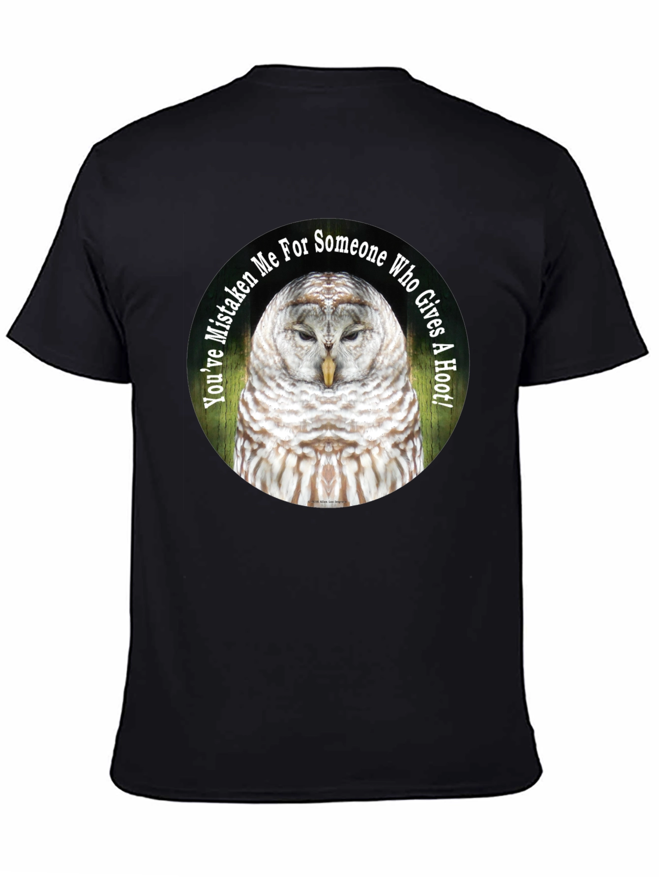 Owl Graphic Tee - Youve Mistaken Me