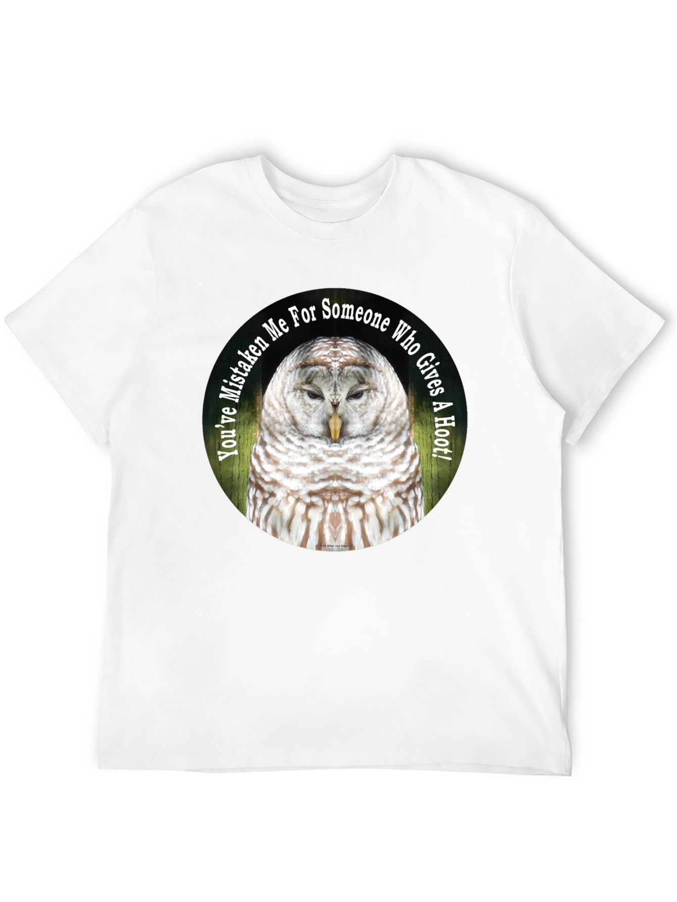 Owl Graphic Tee - Youve Mistaken Me