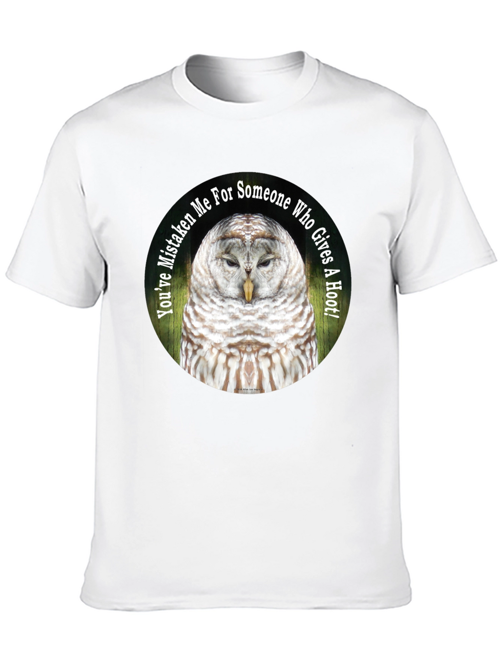 Owl Graphic Tee - Youve Mistaken Me