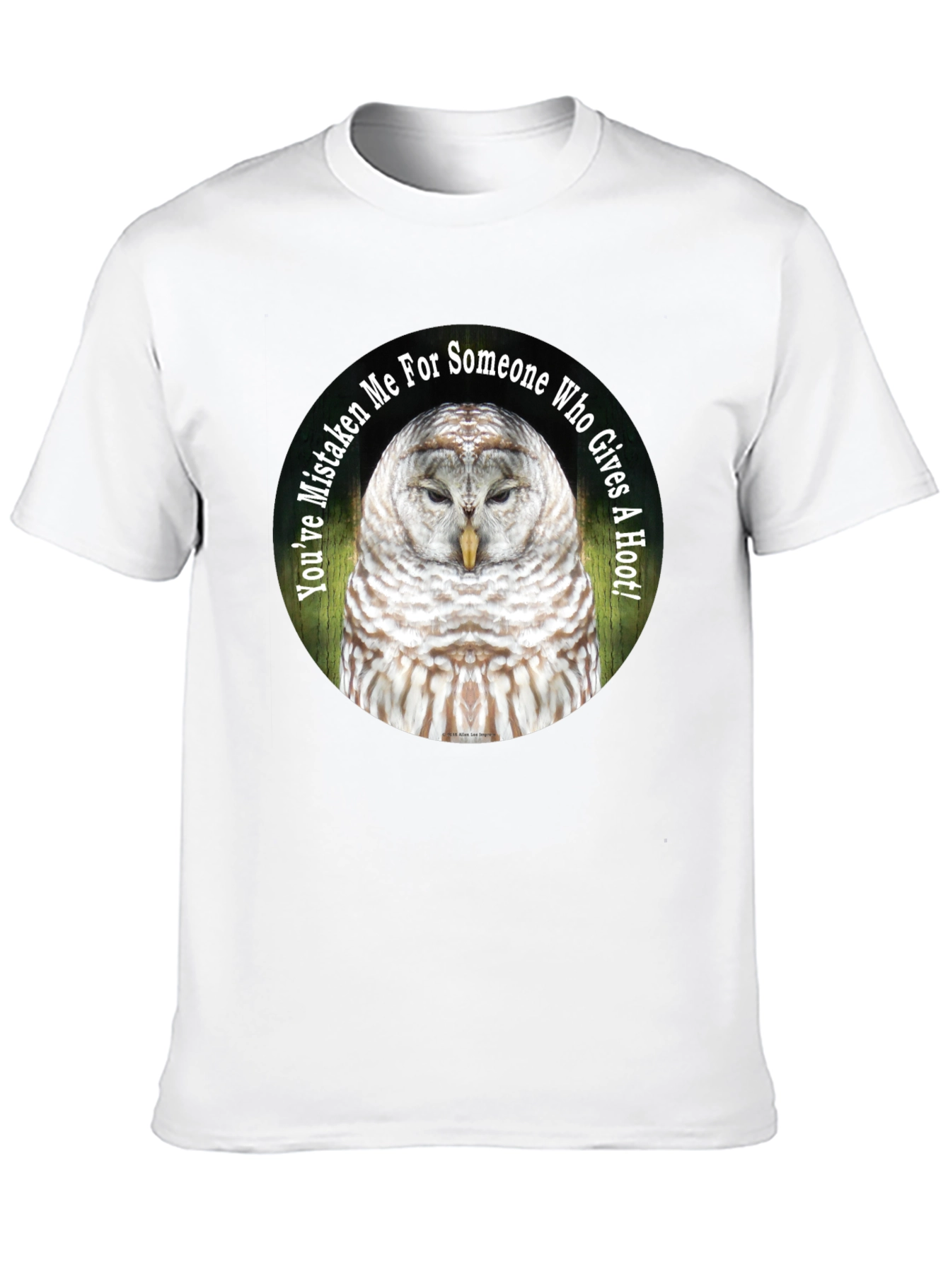Owl Graphic Tee - Youve Mistaken Me