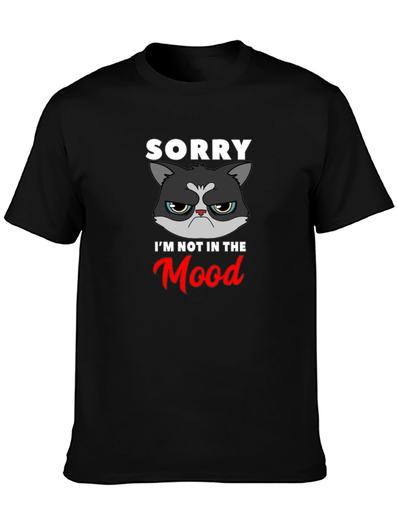 Grumpy Cat T-Shirt - Sorry Im Not In The Mood