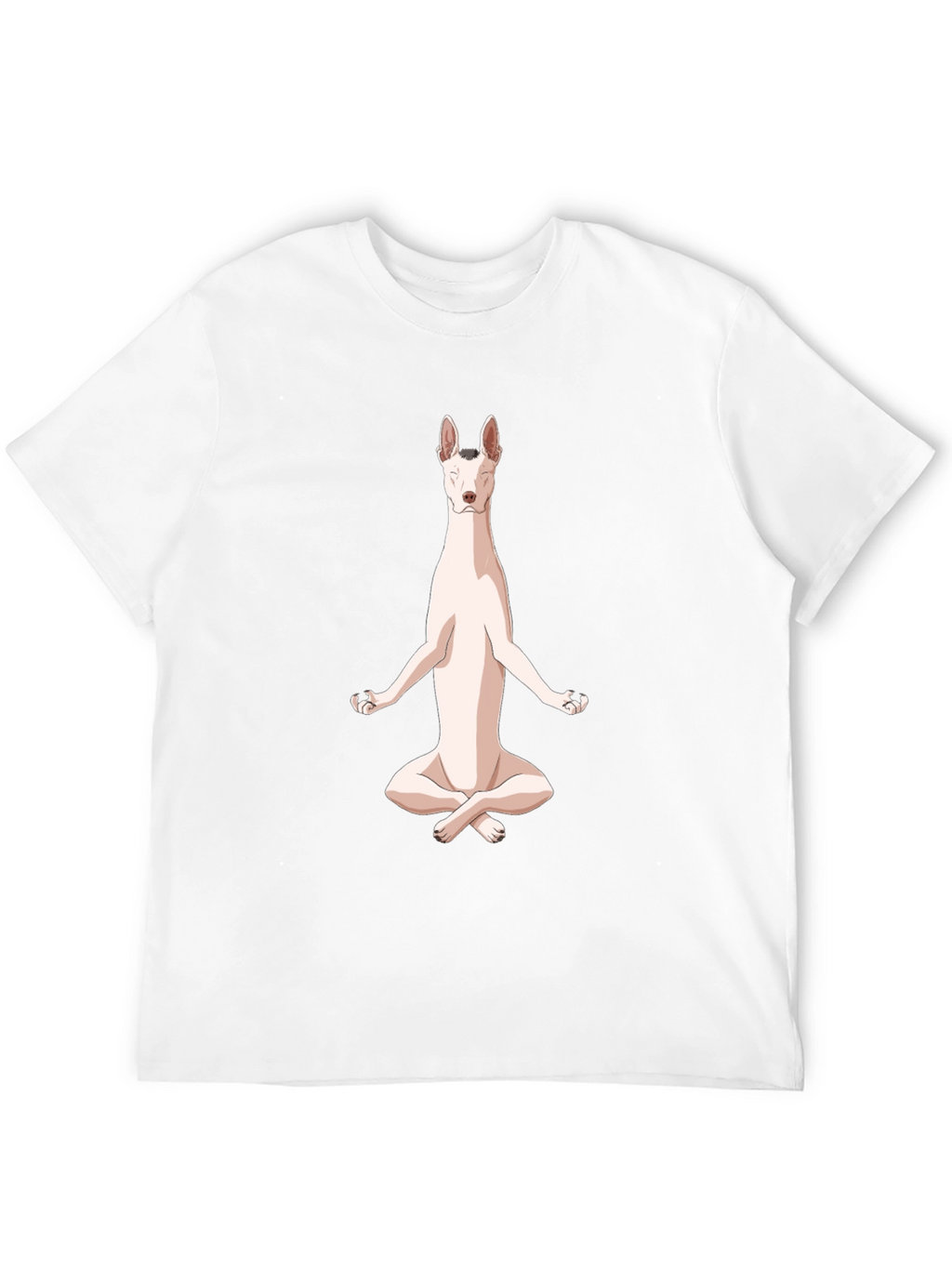 Yoga Dog T-Shirt - Meditating Canine Tee