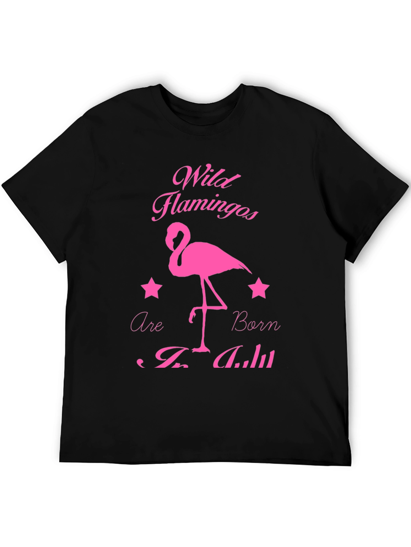 Wild Flamingos Born in July Black T-Shirt