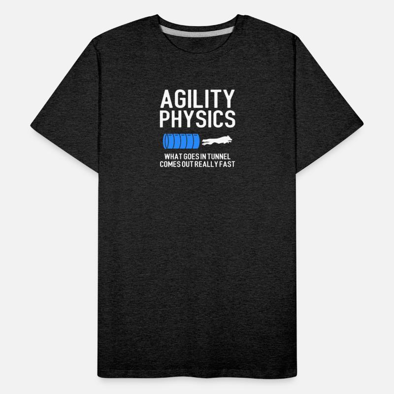 Agility Physics, training dog agility