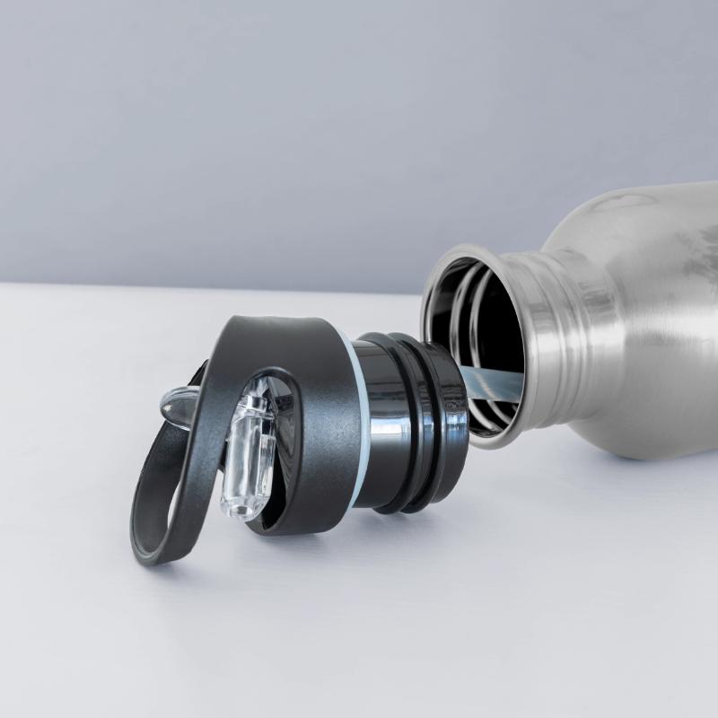 Animal Tracks Norway Footprints