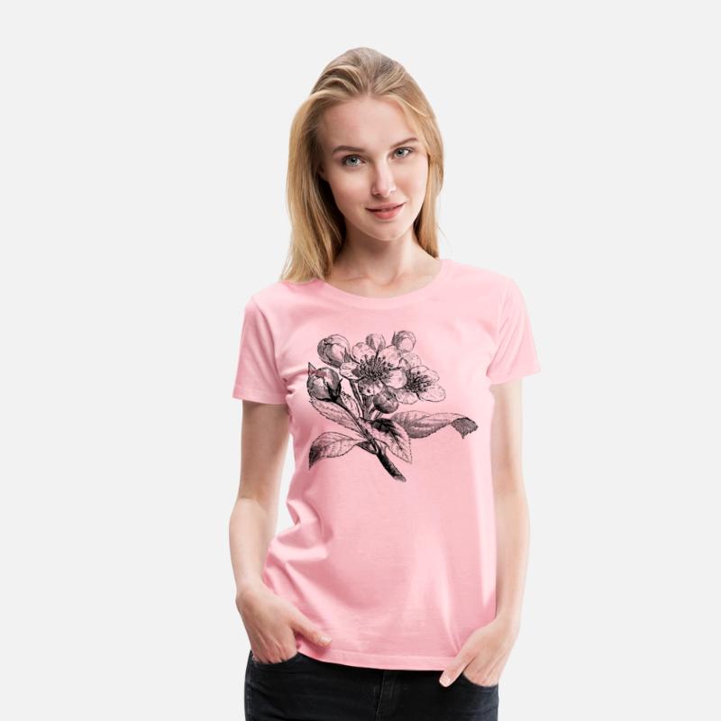 Apple blossom european drawing