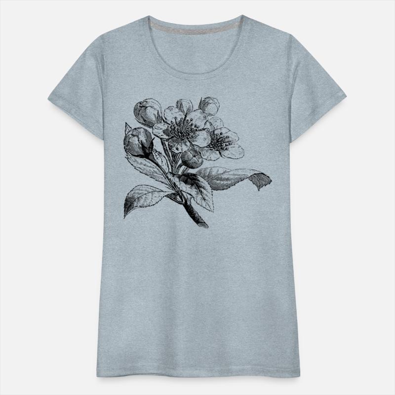 Apple blossom european drawing