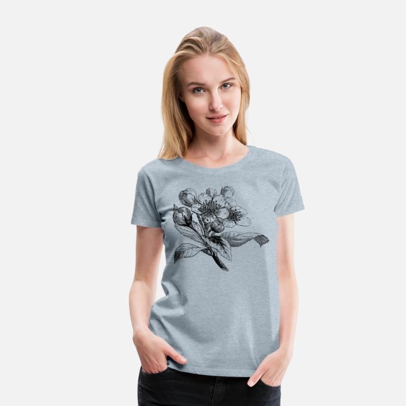 Apple blossom european drawing