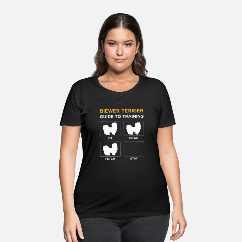 Biewer Terrier Guide To Training Dog Obedience