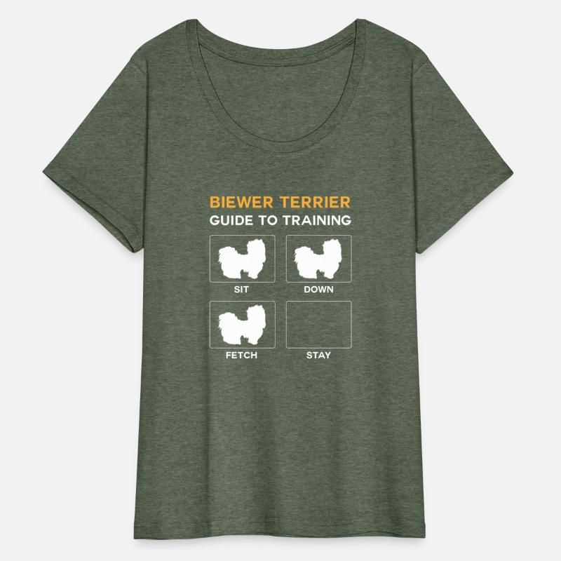 Biewer Terrier Guide To Training Dog Obedience