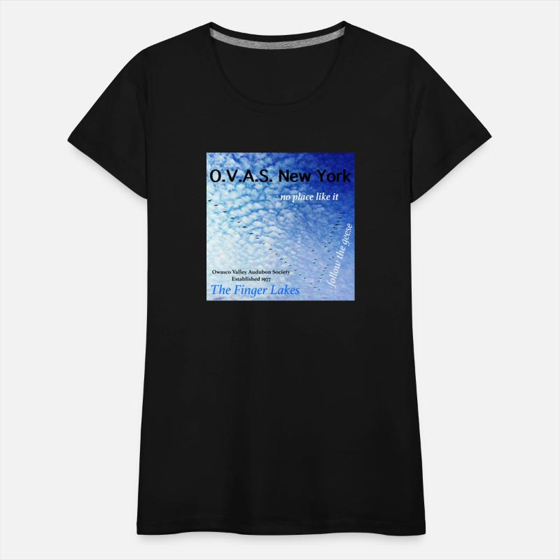 Canada Geese - Follow the geese!