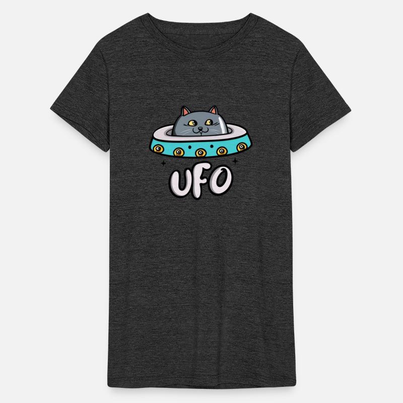 Confused Cat on UFO