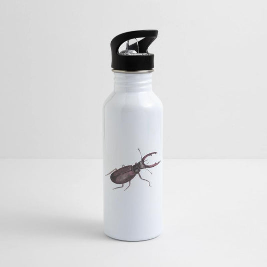 Cute Greater Stag Bug Illustration