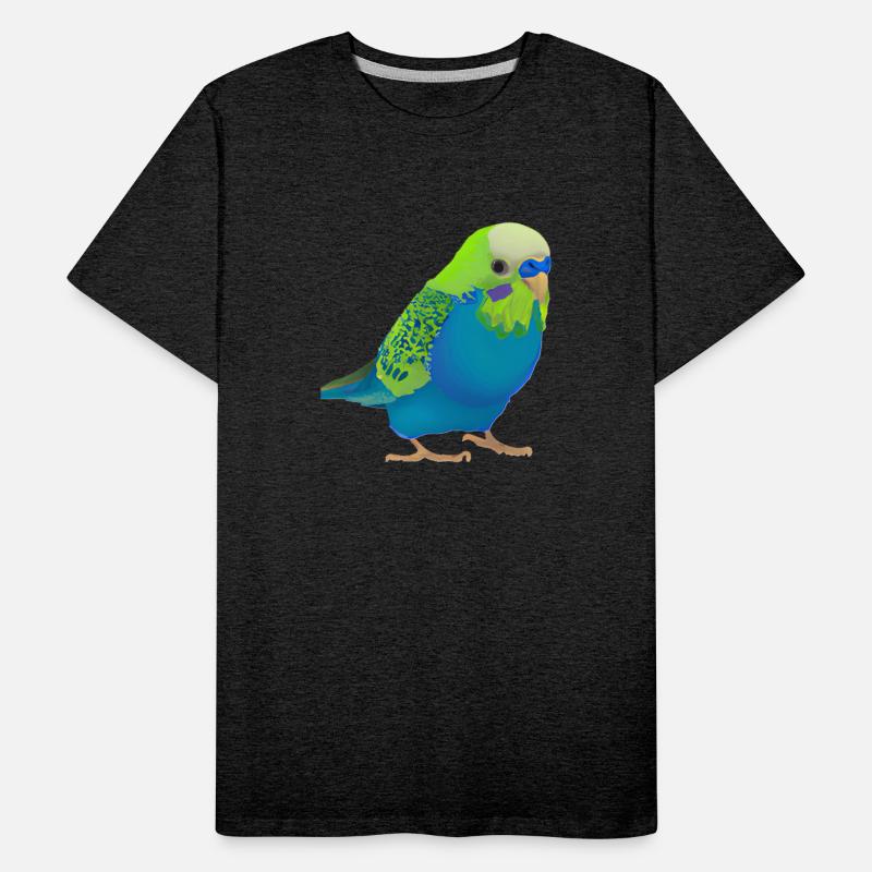cute male parakeet dark colors