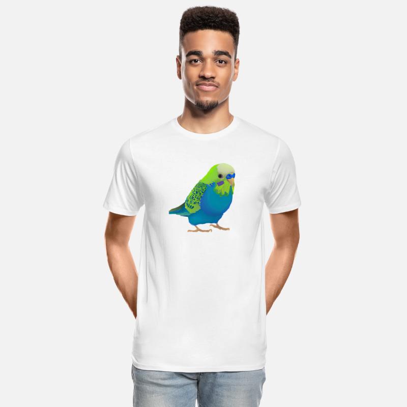 cute male parakeet dark colors