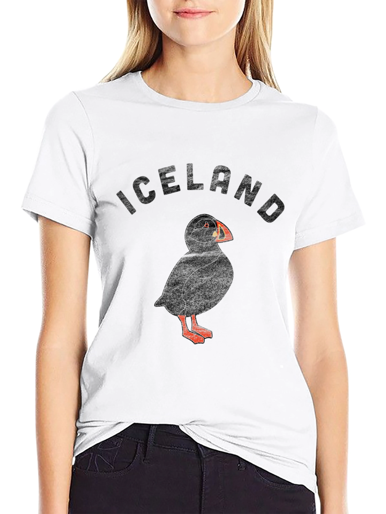 Iceland Puffin Graphic T-Shirt - Black
