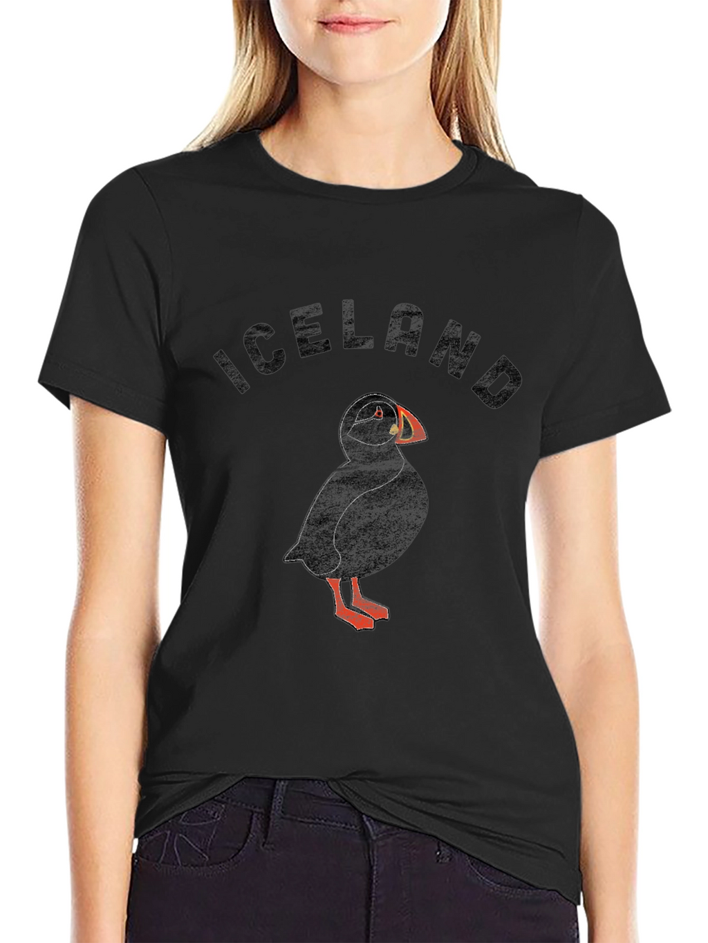 Iceland Puffin Graphic T-Shirt - Black