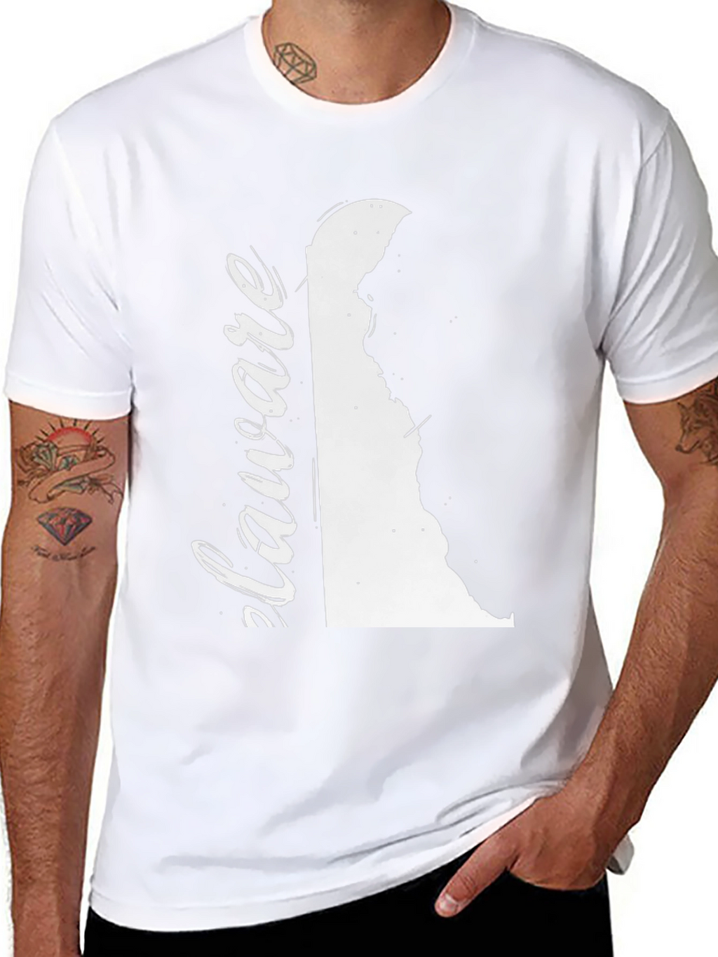 Delaware State Pride T-Shirt
