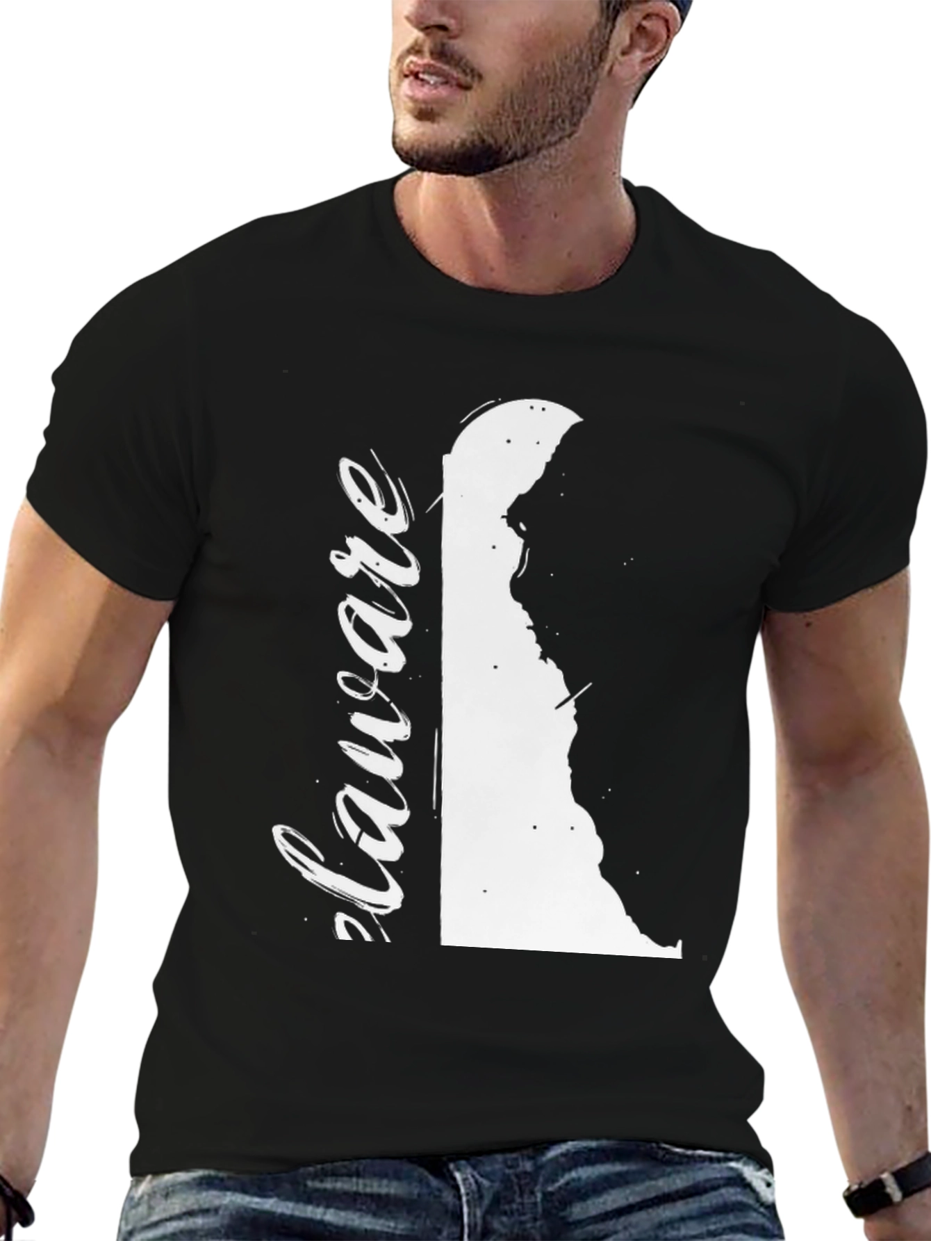 Delaware State Pride T-Shirt