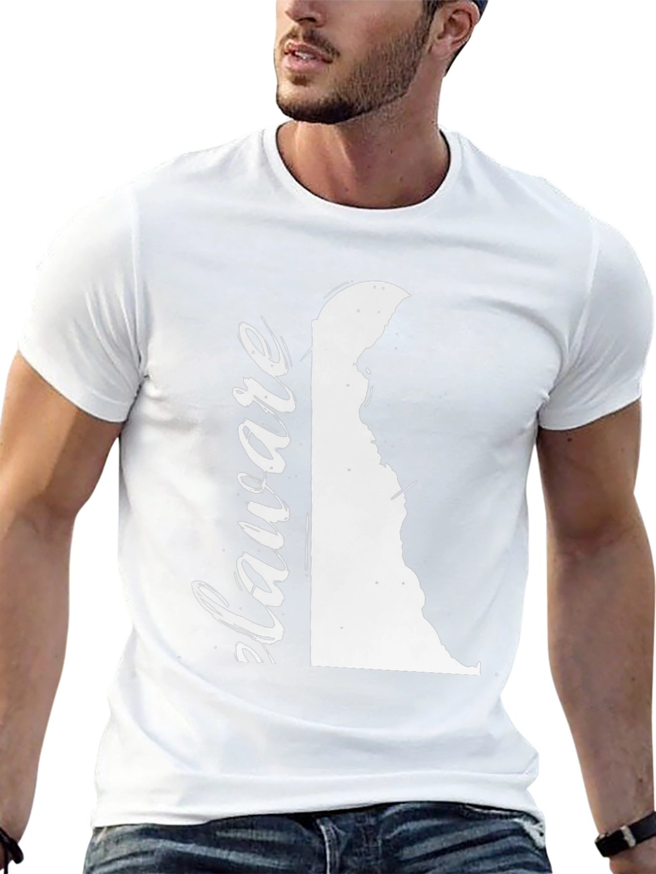 Delaware State Pride T-Shirt