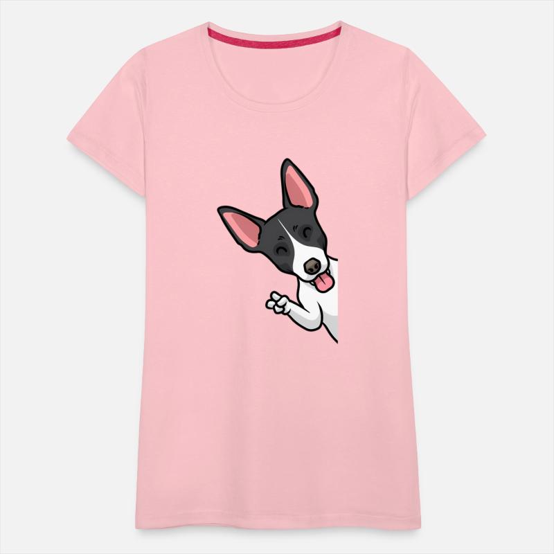 Rat Terrier Dog
