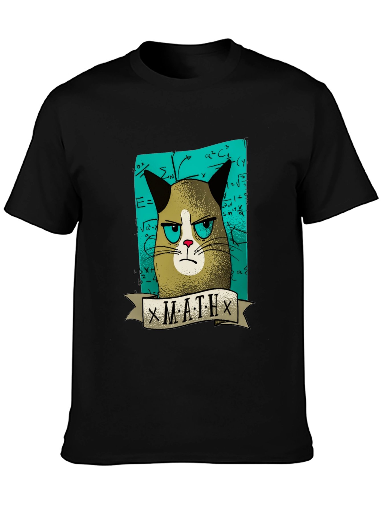 Grumpy Cat Math T-Shirt - Funny Graphic Tee