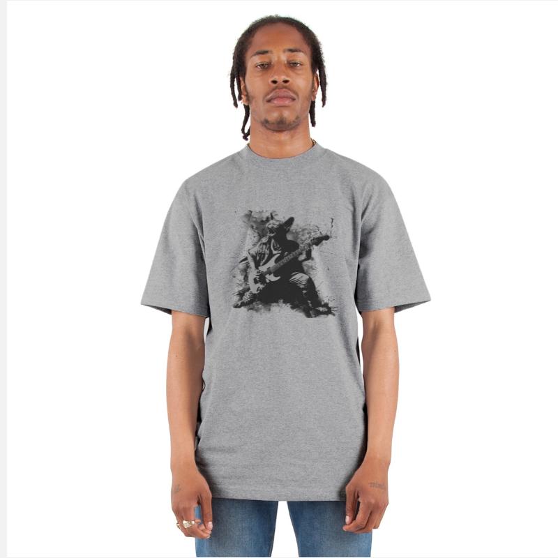 Sphynx Rocker Cat Playing Guitar Peterbald Rock