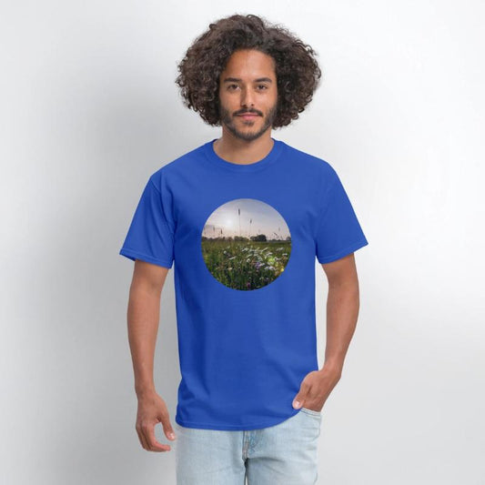 Sunny natural landscape with flowers