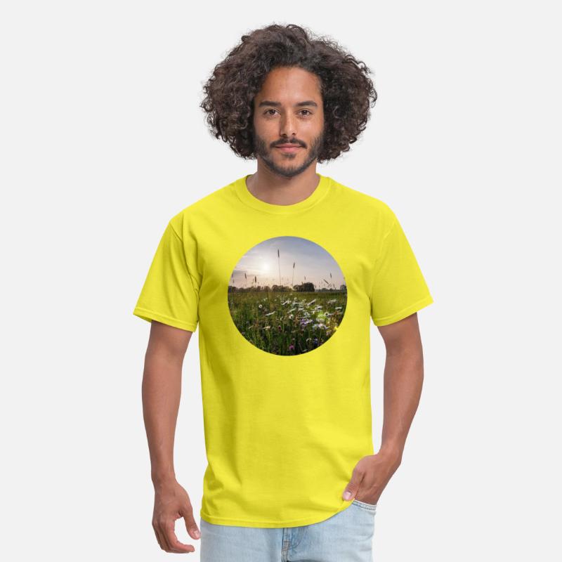 Sunny natural landscape with flowers