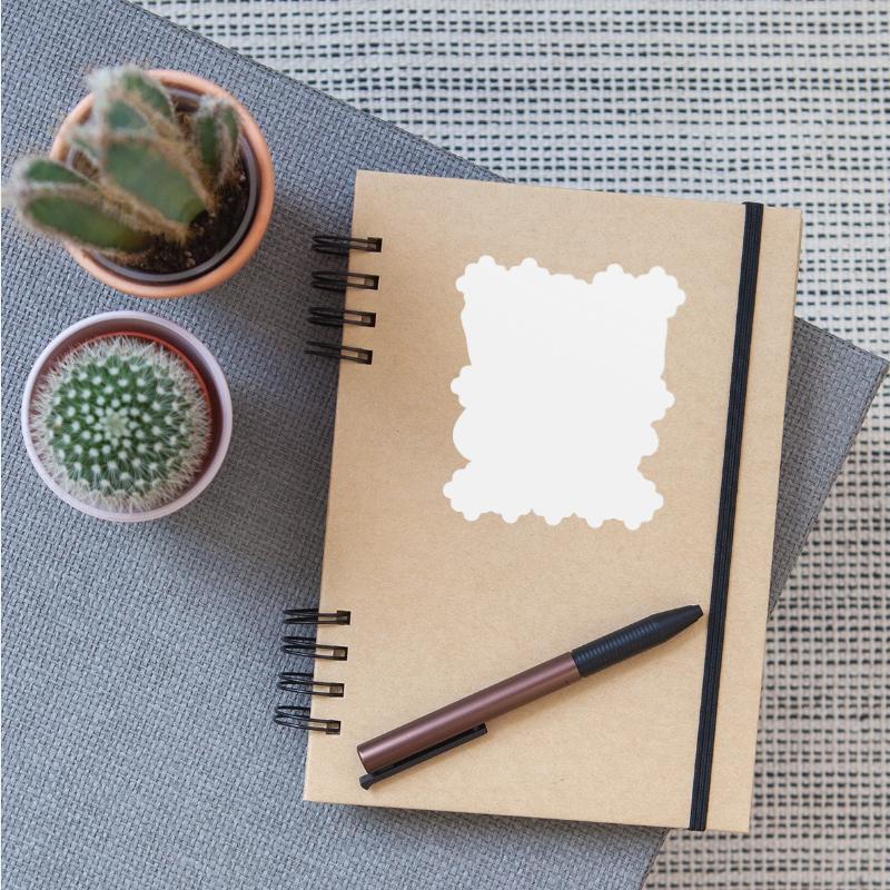 "The world is your oyster''