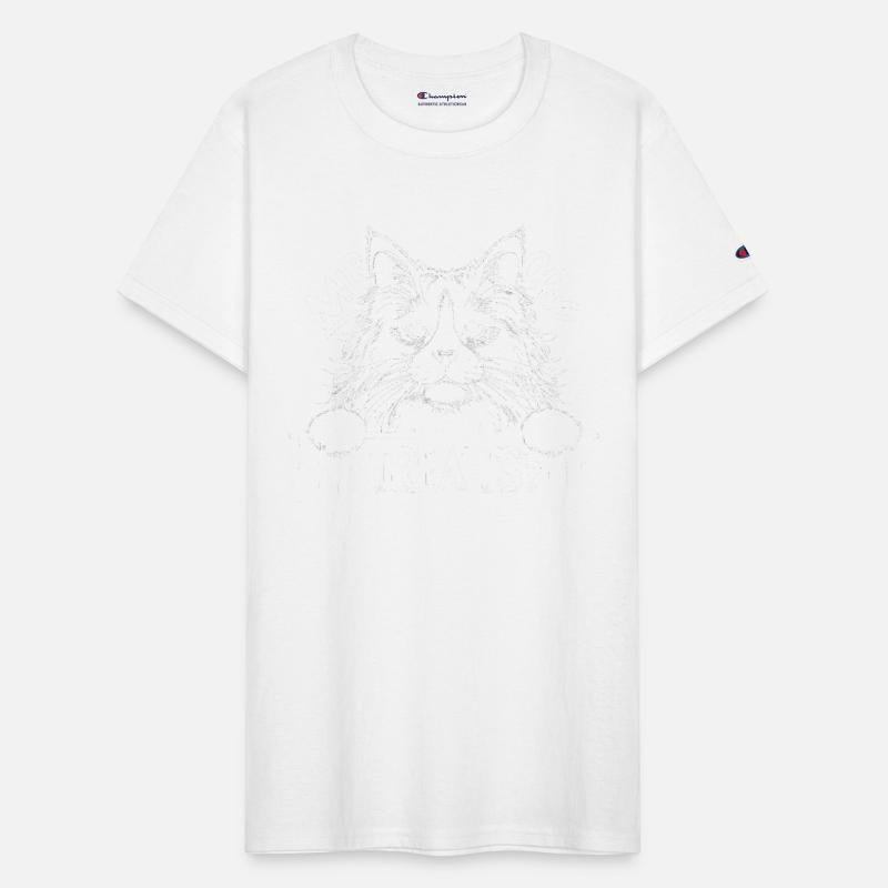 Turkish Angora More Treats 40 - Cute realistic cat