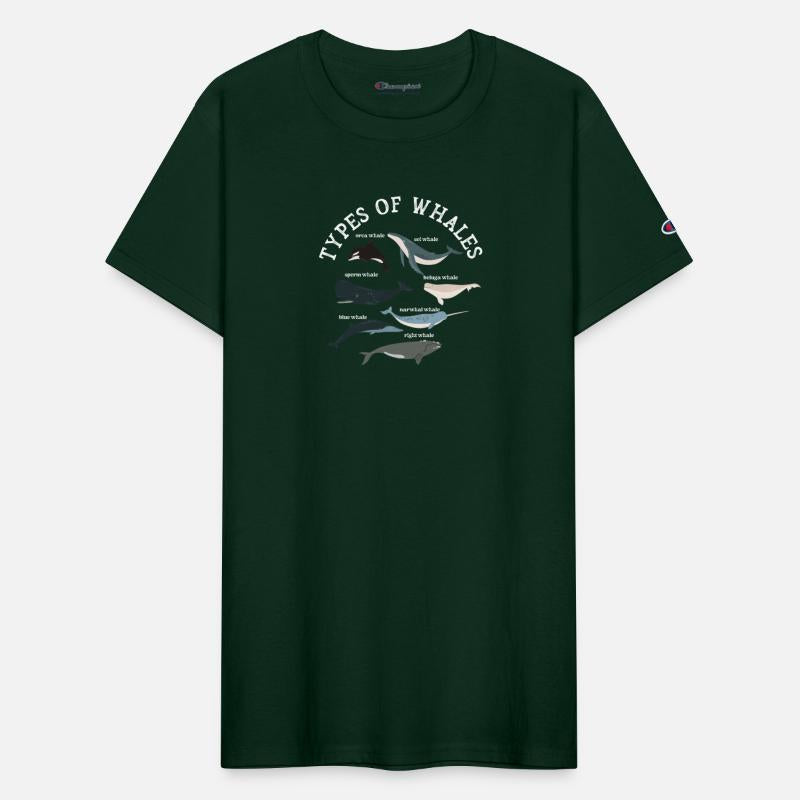 Types of Whales Whale Lovers Whales Species