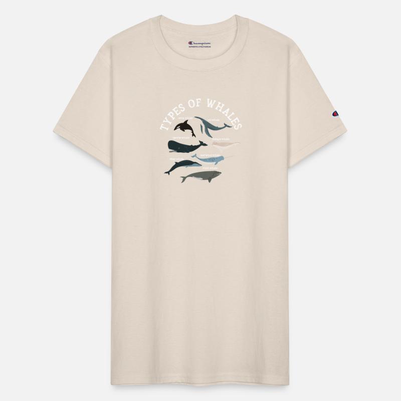 Types of Whales Whale Lovers Whales Species