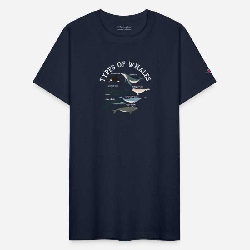 Types of Whales Whale Lovers Whales Species